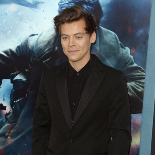 Harry Styles's homeless stalker avoids jail