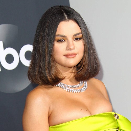 Selena Gomez clarifies Amy Schumer IVF comment