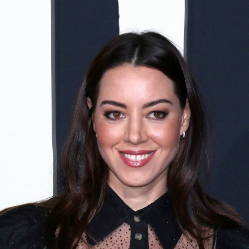 Aubrey Plaza sent creepy messages to Jonas Brothers for Vegas concert tickets