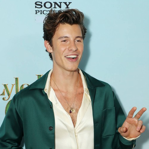 Shawn Mendes still struggles with ‘insecurities’ over singing – Music News