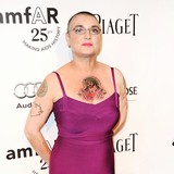 Sinandeacute;ad-OConnor-calls-off-divorce