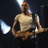Stings-arse-saves-rainforest