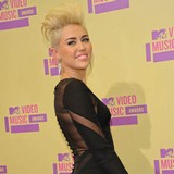 Miley-Cyrus-trespasser-receives-maximum-sentence