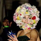 Ferns-named-after-Lady-Gaga