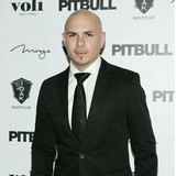 Pitbull:-Im-a-dirty-gentleman