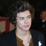 Styles-denies-disgusting-texts