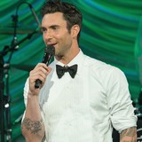 Adam Levine's fiancée: I can't believe it