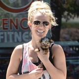 Britney entertains retirement