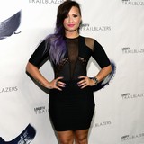 Hacker 'leaks naked Lovato photos'
