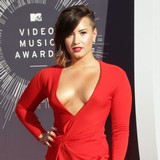 Demi's farty fans