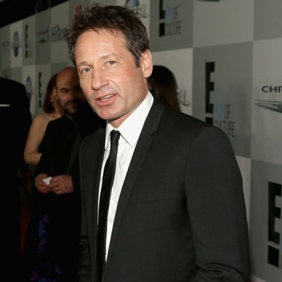 Duchovnys journey of discovery