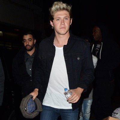 Niall Horan 'croons to crowd in Miami'