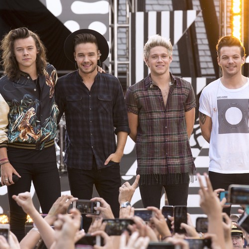 Directioners up in arms over potential hiatus