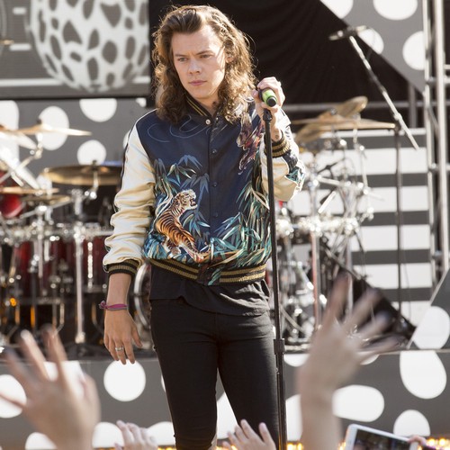 Harry Styles 'sought after by Sony'