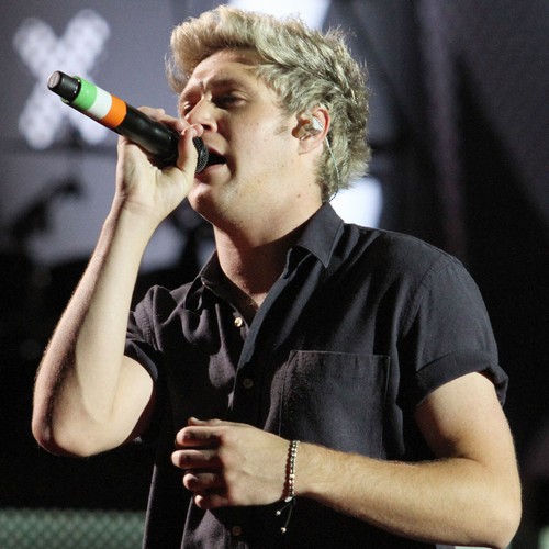 Niall Horan 'eyeing up rockstar career'