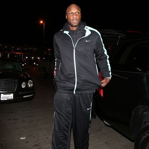 Lamar Odom’s blood ‘tested positive for cocaine’