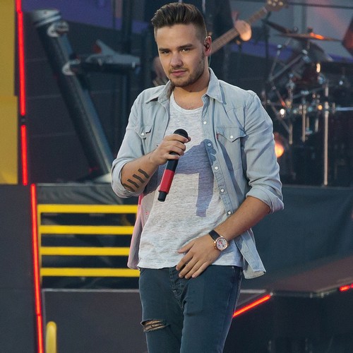 Liam Payne: I own flying Harry Potter car