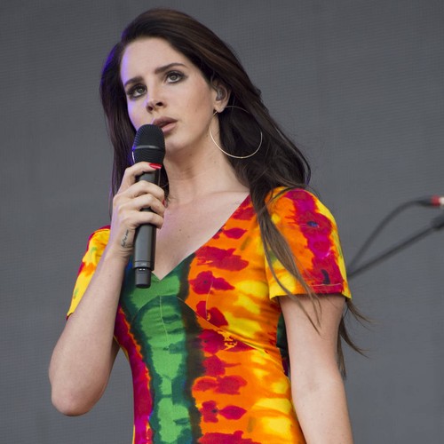 Man arrested on Lana Del Rey's property