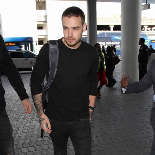 Liam Payne gushes over new girl Cheryl Fernandez-Versini