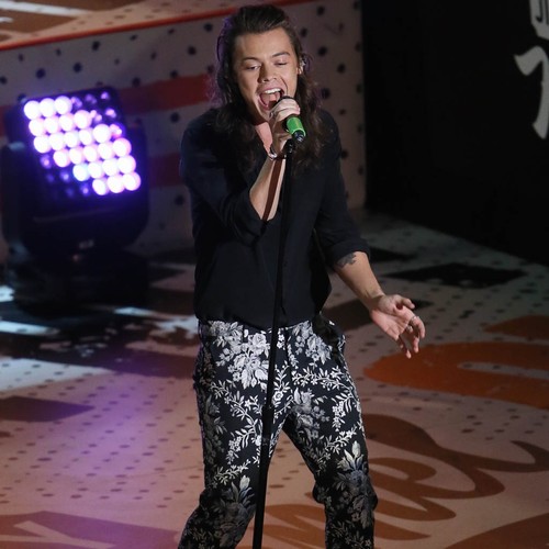 Harry Styles 'struggling to break into Hollywood'