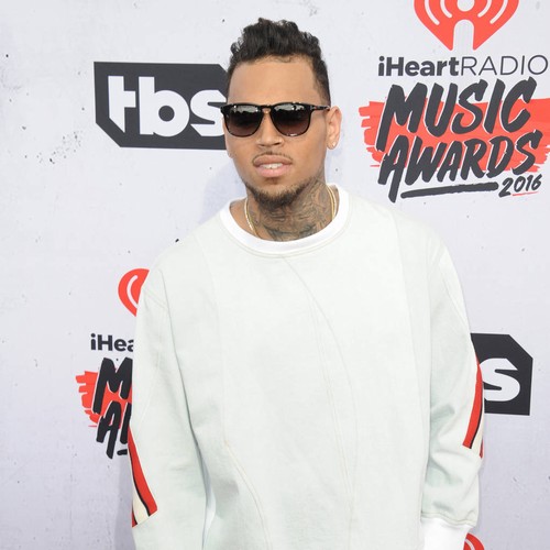 Police arrest Chris Brown fan for trespassing