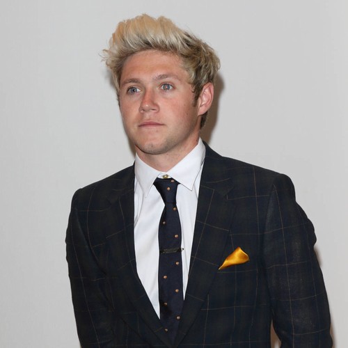 Niall Horan: 'Brexit voters will regret their decision'