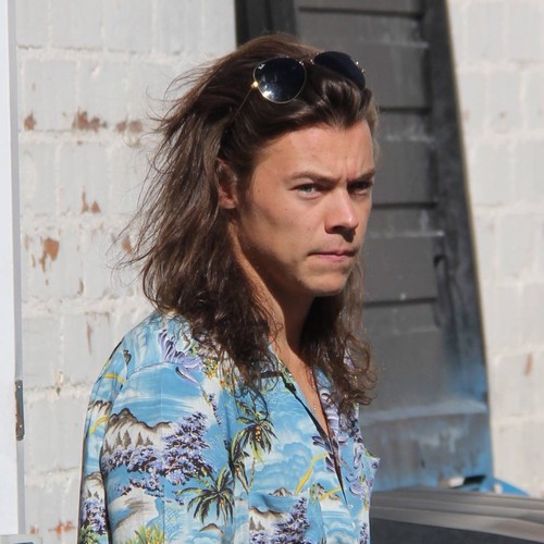 Harry Styles visits U.K. Parliament for Brexit debate