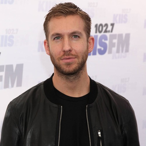 Calvin Harris and Nicole Scherzinger just friends despite club outing
