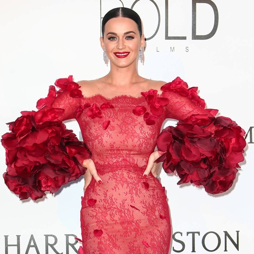 Orlando Bloom helped Katy Perry with DNC speech