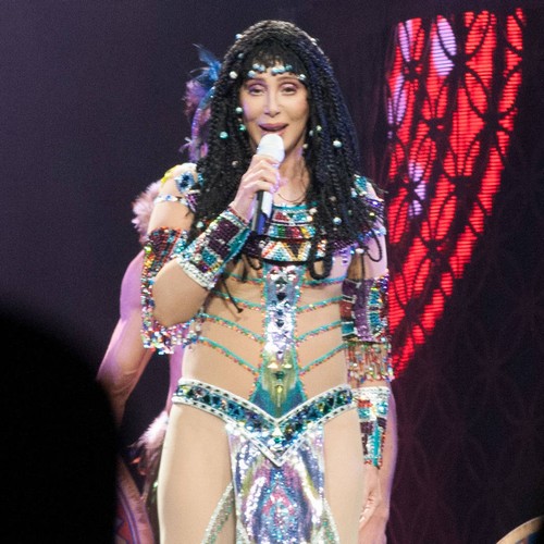 Cher's representative shoots down health crisis reports