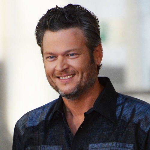 Blake Shelton's representative calls TV proposal story 'nonsense'