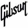 Learn-from-the-Professionals-at-Gibson-Tech-Talk