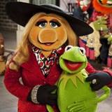 Miss Piggy believes in Céline Dion