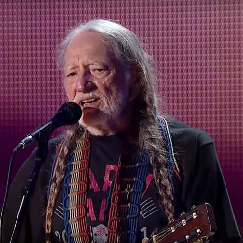 Willie-Nelsons-A-Horse-Called-Music-trailer-released