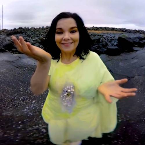 Björk: 'All my dreams came true and I feel like I just discovered my branch on the musical tree'