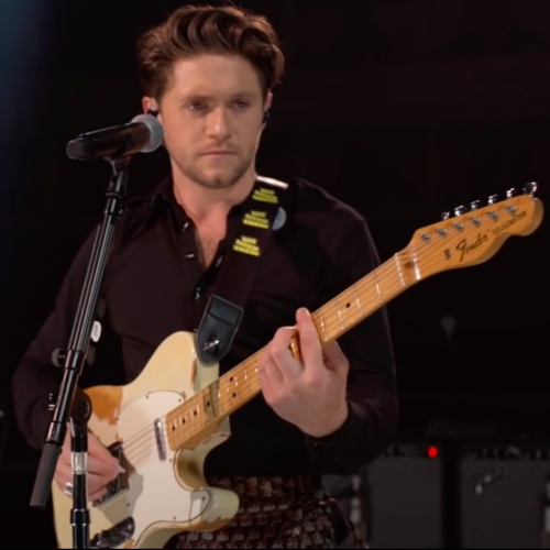 Niall Horan: 'Playing festivals is something that has been on my bucket list for a long time'