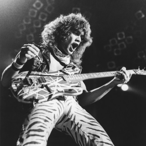 Eddie Van Halen left over a million to music charity - Vimarsana News