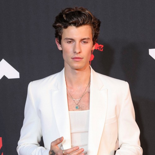 Shawn Mendes cancels remaining world tour dates