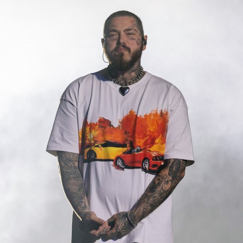 Post Malone does gender reveal at his concert