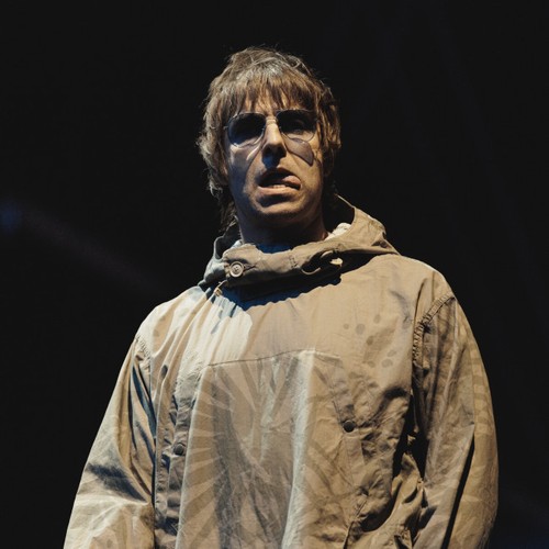 Noel who? Liam Gallagher snubs fans' questions about brother's new song