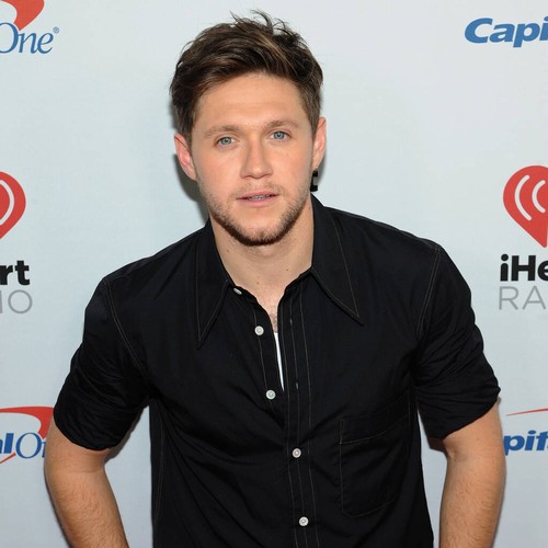 Niall Horan runs ideas past musical mentors Elton John and Don Henley