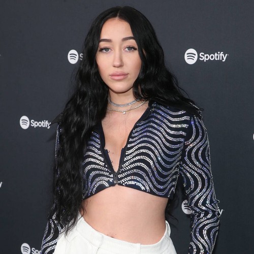 Noah Cyrus 'hid from the world' due to sister Miley's fame