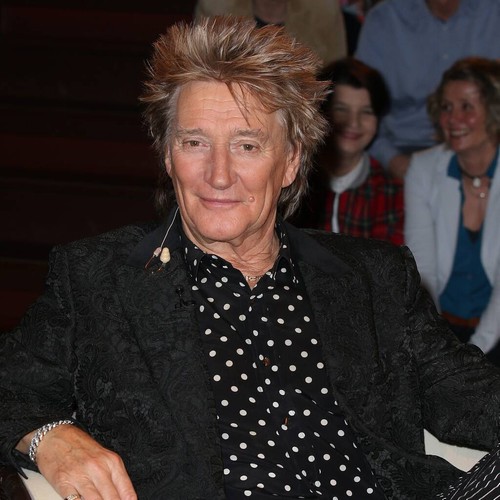 Rod Stewart wants Rhys Ifans to play him in biopic