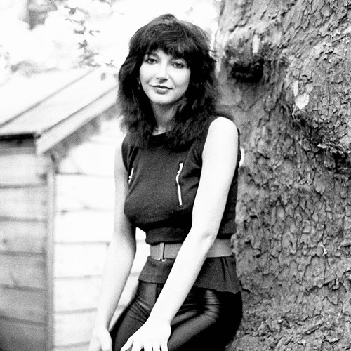 Kate Bush hadn't heard Running Up That Hill for years before Stranger Things