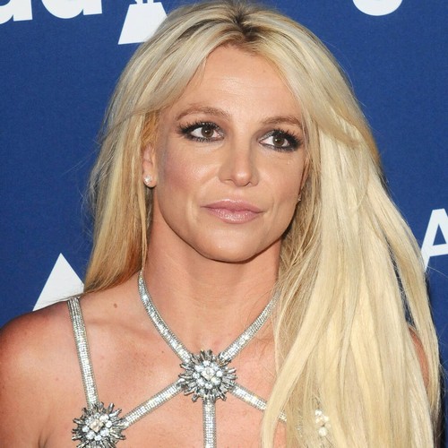 Lynne Spears apologises for 'anything and everything' that has hurt Britney Spears