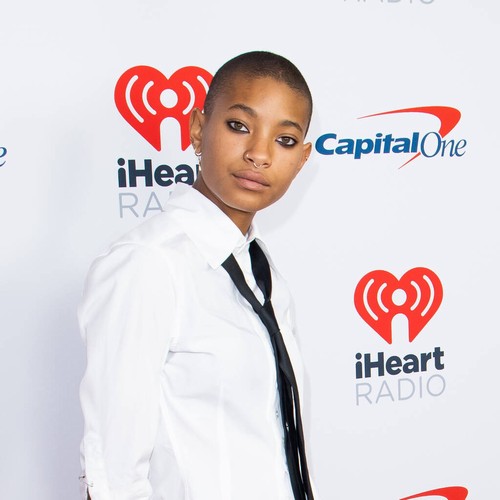 Willow Smith can 'definitely' see herself quitting music to become author
