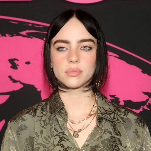 Billie Eilish has started working on next album