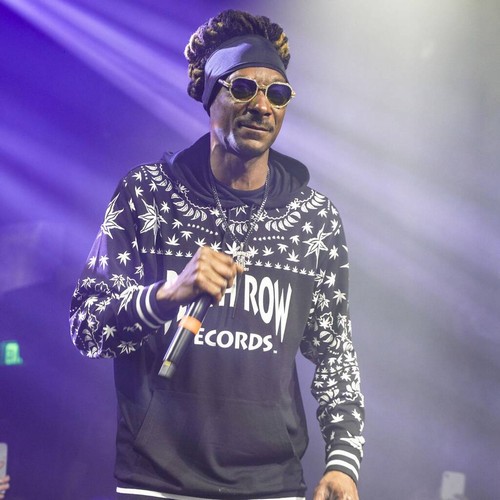 Snoop Dogg garners support in bid to 'run Twitter'