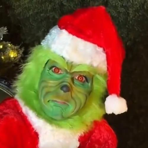 C&eacute;line Dion transforms into the Grinch for hilarious holiday video