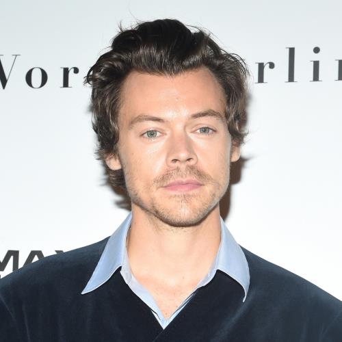 Harry Styles to curate London’s Meltdown festival